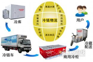 國(guó)內(nèi)外聯(lián)動(dòng)打造北方食品冷鏈物流集散中心，優(yōu)化供應(yīng)鏈管理服務(wù)